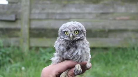 Holcim_podpora_sycek