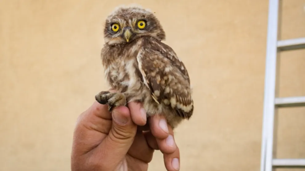 Lafarge_chranime_biodiverzitu